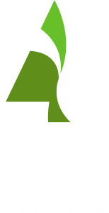 York Timbers